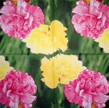 BLS-002 Flowers Others - 3-ply